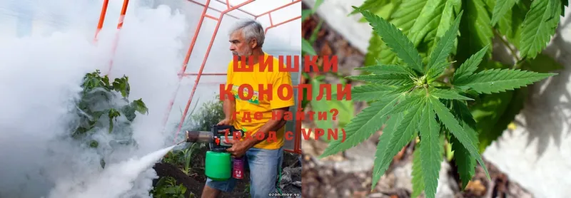 Шишки марихуана THC 21%  Ленинск-Кузнецкий 